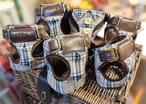 burberry check dog harness|burberry dog collars for sale.